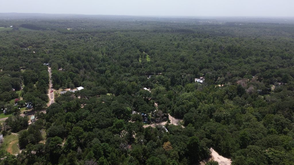 Spruce Ln photo 7