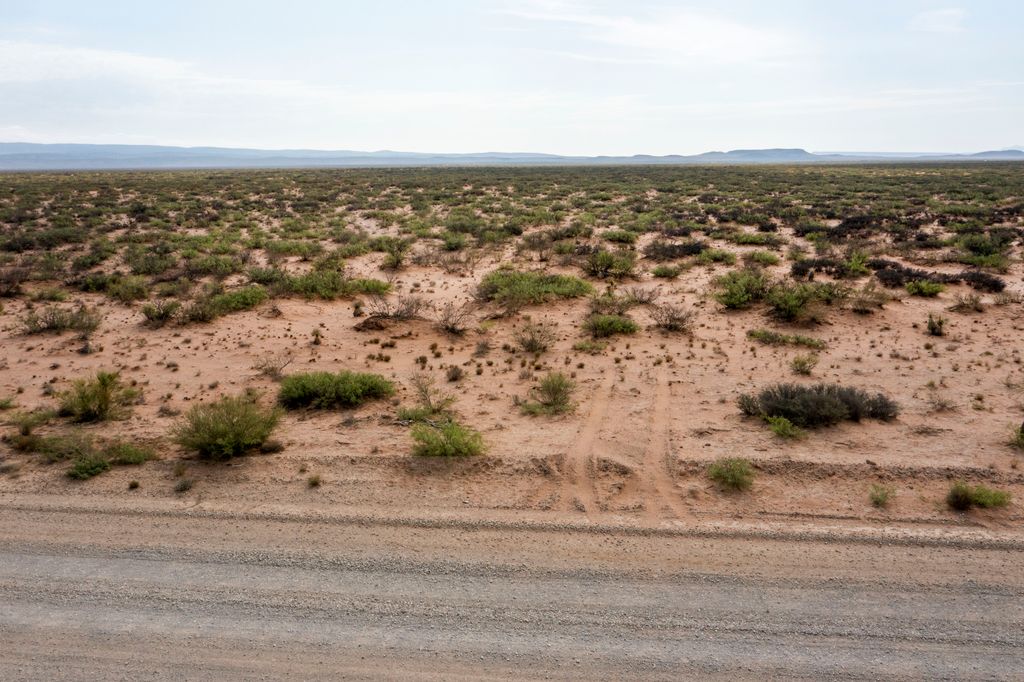 John Conoly photo 18