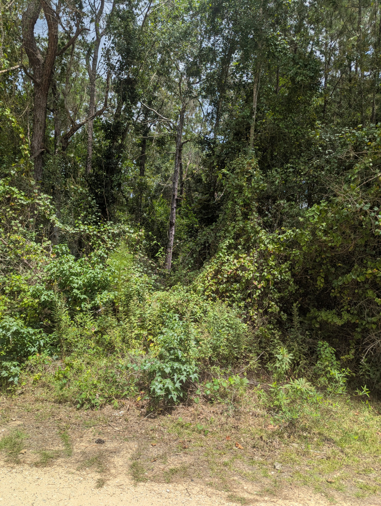 E Ivanhoe Dr photo 7
