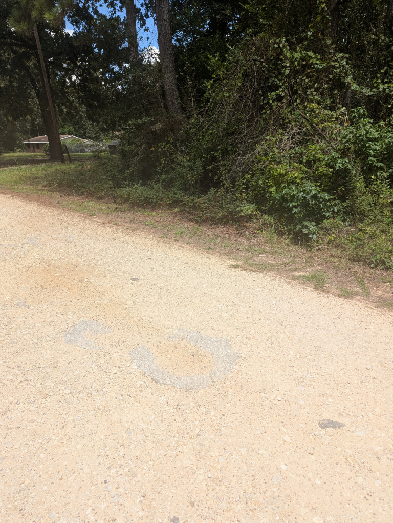 E Ivanhoe Dr photo 13