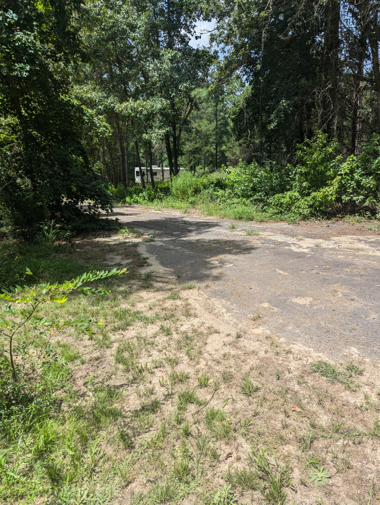 Spruce Ln photo 18