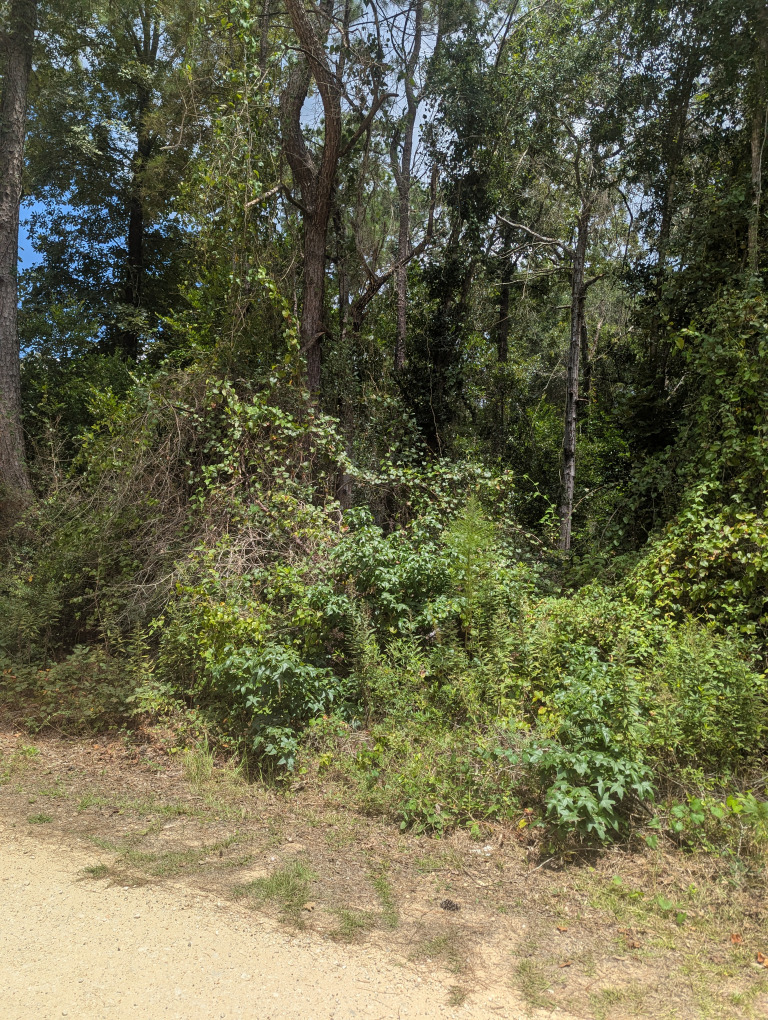 E Ivanhoe Dr photo 6