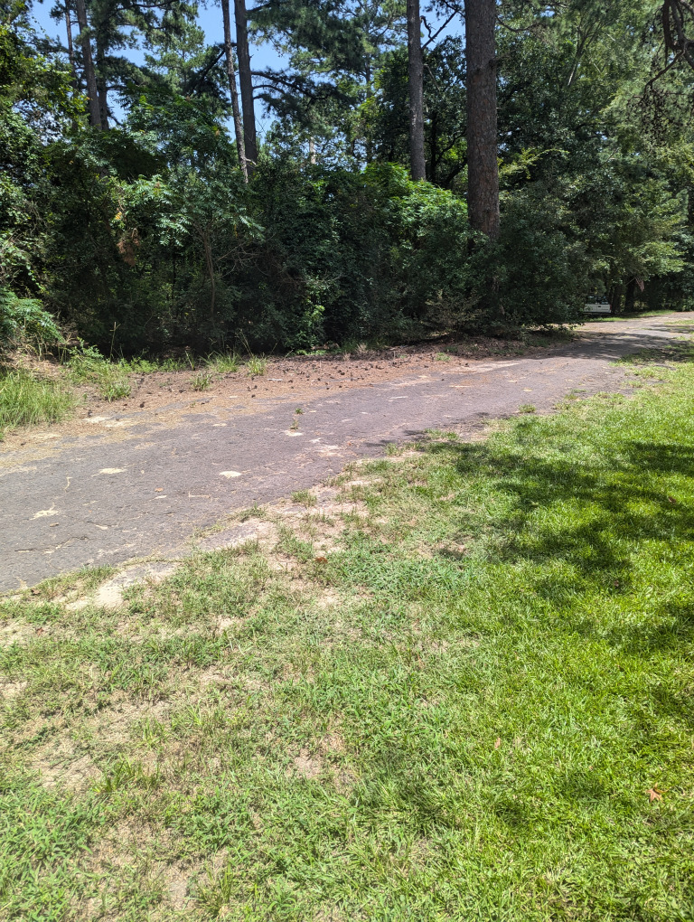 Spruce Ln photo 14