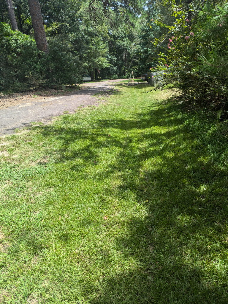Spruce Ln photo 13