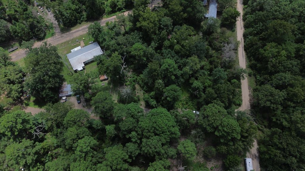 Spruce Ln photo 5
