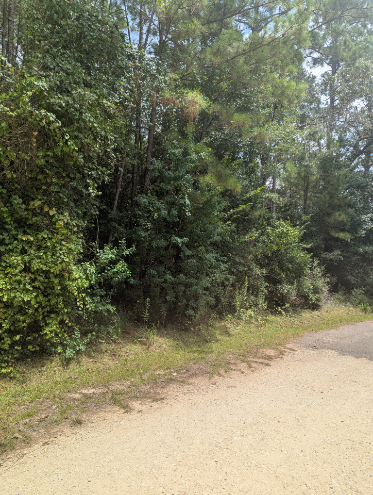 E Ivanhoe Dr photo 9