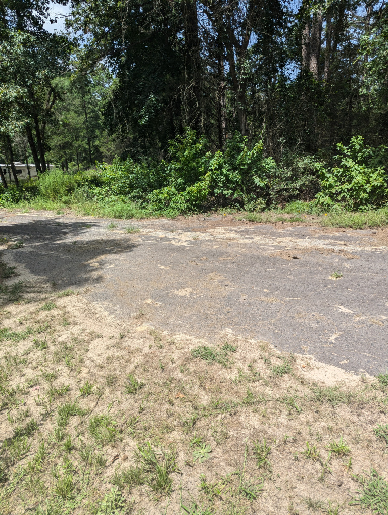 Spruce Ln photo 17