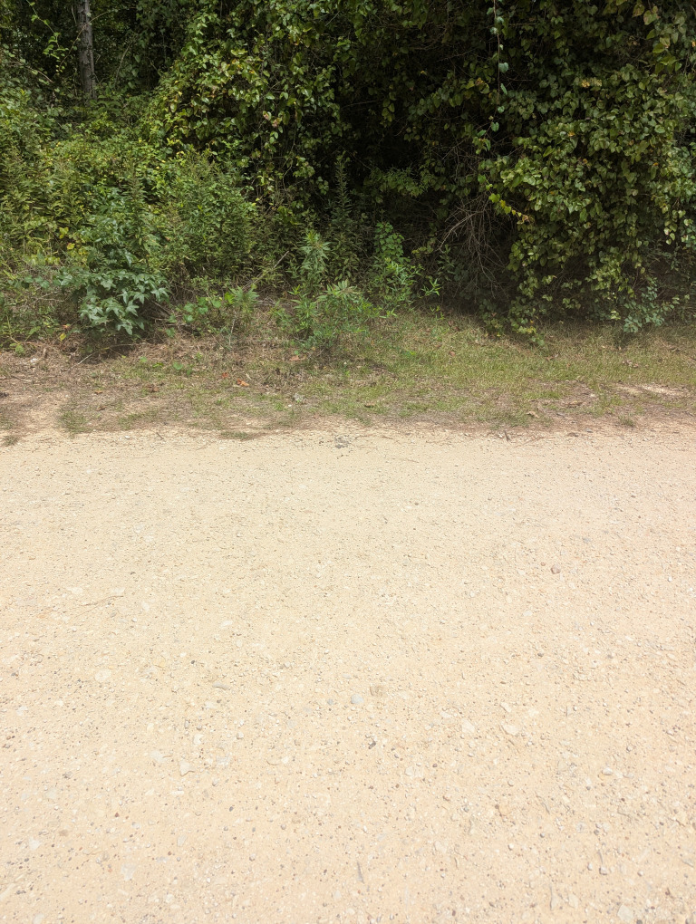 E Ivanhoe Dr photo 14