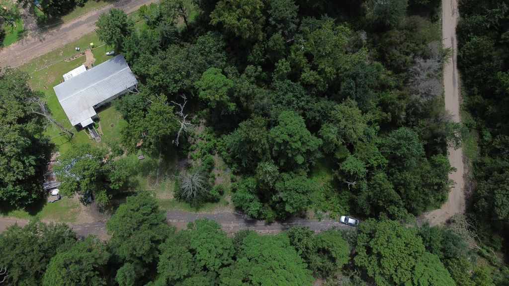 Spruce Ln photo 3