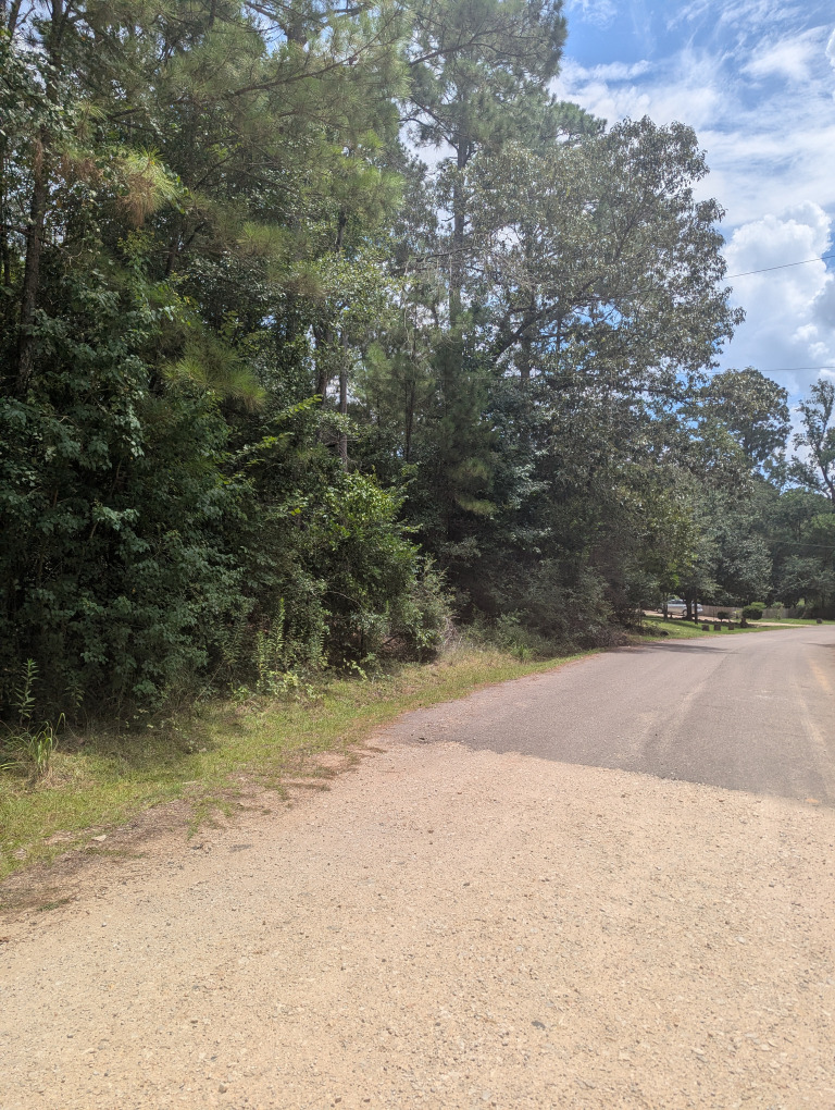 E Ivanhoe Dr photo 10