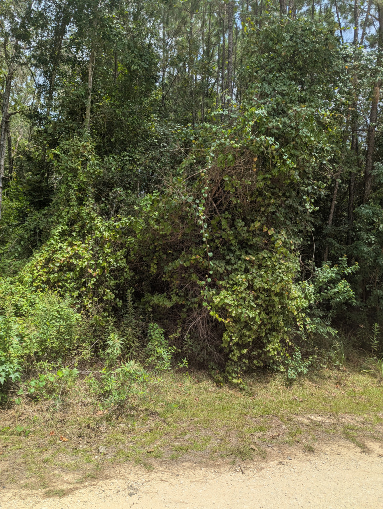 E Ivanhoe Dr photo 8